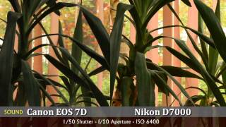 Nikon D7000 vs Canon EOS 7D  ISO Noise Comparisonmp4 [upl. by Olegna]