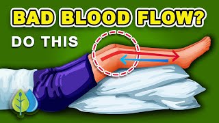 Increase Blood Flow to Legs and Feet Without Exercises [upl. by Teryn]