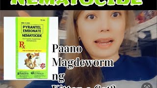 PAANO MAG DEWORM NG KITTEN O CAT  NEMATOCIDE pang deworm  CatVlog 68 deworm cat kitten [upl. by Phoebe581]