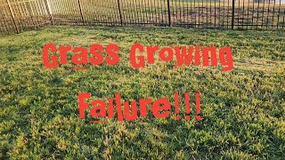 Growing Grass In The Summer Pt2 3 Reasons Why Its A Bad Idea [upl. by Yelekreb]