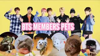 BTS MEMBERS PETS [upl. by Gosselin394]