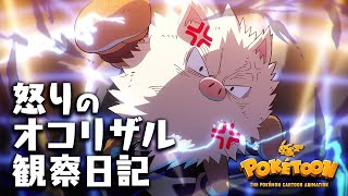 【公式】ポケモンアニメ「怒りのオコリザル観察日記」【POKÉTOON】 [upl. by Dnomayd]