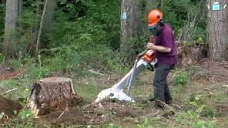 Alpine Magnum Portable Stump Grinder [upl. by Iridis36]