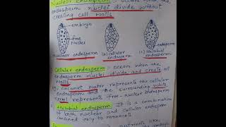 Exploring endosperm types and functions endosperm neet [upl. by Awjan]