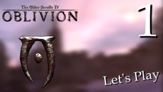 Прохождение The Elder Scrolls IV Oblivion с Карном Часть 1 [upl. by Sulokcin22]