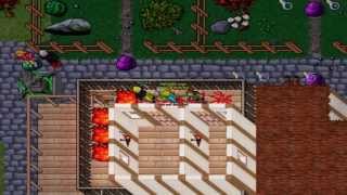 Tibia Movie Panderanoipinfo SammyNSC [upl. by Chuipek]