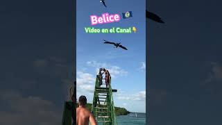 Belice video completo en el Canal ☝️ belice viajerosporelmundo travel shortsviral shorts [upl. by Inaffit]