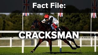 Fact File Cracksman [upl. by Aicnom]