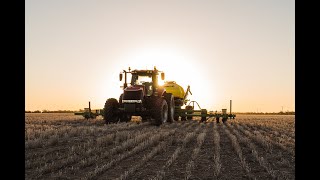 Planting Sorghum in Australia [upl. by Yelsha]