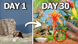 Simulating a Rainforest for 30 Days [upl. by Ayanet660]