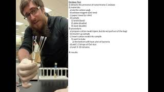 Oxidase Test [upl. by Neros]