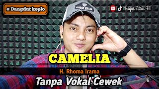 Camelia  karaoke duet tanpa vokal cewek dangdut koplo Rhoma Irama [upl. by Allina614]