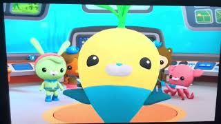 Octonauts Creature Report [upl. by Adnoraj572]