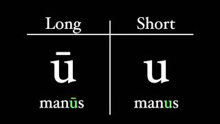 Pronunciation Tutorial 1 English Pronunciation and IPA Voicing and Place [upl. by Jacques]