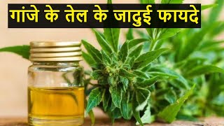 गांजे के तेल के जादुई फायदे CBD Oil Benefits [upl. by Iarised220]