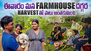 Life at Farmhouse  Farmhouse దగ్గర ఫామిలీ amp ఫ్రెండ్స్ తో ఆటపాటలు వంటలతో కాలక్షేపం … Sridevi [upl. by Jabe514]