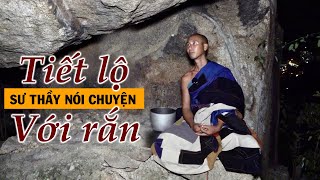 Sư Thích Minh Tuệ tiết lộ bí mật nhà sư ẩn tu trên hang có thể nói chuyện với rắn [upl. by Maddalena]