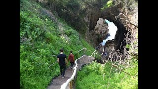 The most beautiful walk in the world  Knysna Featherbed Eco Experience [upl. by Hplodur]