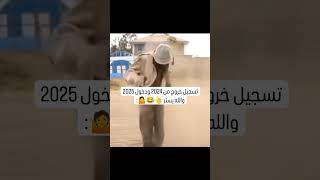 تسجيل خروج من 2024 الى دخول 2025 بعد شهرين والله يستر 🤣🤣🤣 [upl. by Orat]