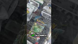 Day 3 Canada computers got WHAT  Greninja hunting  pokemon pokemontcg pokemongo [upl. by Frankel589]