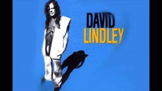 David Lindley Aint No Way Reggae [upl. by Liris]