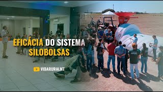 EFICÁCIA NO SISTEMA SILO BOLSAS IPESA [upl. by Zebulen]