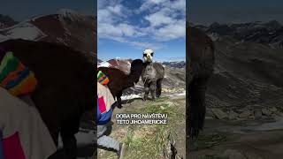 Malebné Peru 🦙 dovolena travel cestovani travelakademie ckgo2 cuzco peru [upl. by Atnauq83]