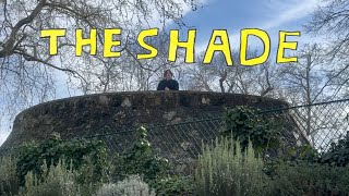 Rex Orange County  THE SHADE Music Video V1 [upl. by Odidnac]