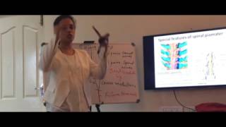 Anatomy of Spinal cord  Part I  by Dr Vijaya [upl. by Nikolas]