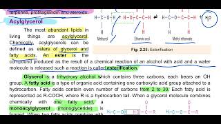 Lipids Acylglycerol Properties and types of fatty acids waxes 11th biology biology education [upl. by Streeter]