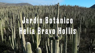 Jardín Botánico Helia Bravo Hollis [upl. by Kele]