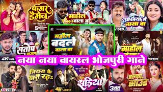 माहौल बदले वाला बा 🔥Golu Gold  Ritesh Pandey  Nonstop Bhojpuri Song  Kamar Kare Lach  Sadiy [upl. by Anima68]