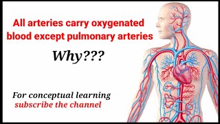 All arteries carry oxygenated blood except pulmonary arteries Why heart circulatory system [upl. by Olnay112]