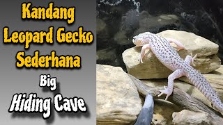 Kandang Leopard Gecko Sederhana dan Menarik leopardgecko [upl. by Kassaraba887]