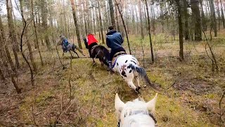 TO BYŁ PECHOWY TEREN  KOŃSKI VLOG 🐴 POV [upl. by Norita]