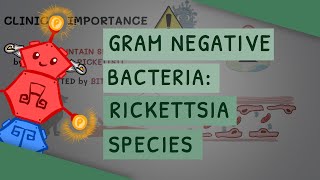 Gram Negative Bacteria Rickettsia species [upl. by Notsud]