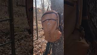 Teton Sports Numa 30L Backpack [upl. by Scot335]