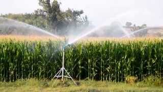 DuCaR JET35  Corn irrigation  2 [upl. by Peisch]