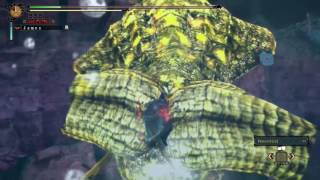 MH3U  Goldbeard Ceadeus  229 Solo HBG [upl. by Aneras]