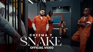 Snake song by cheema y Remix dj mix dhol mix trending [upl. by Nilyak479]