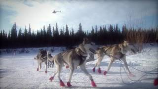 Broken record broken dreams An Iditarod story [upl. by Nerha404]