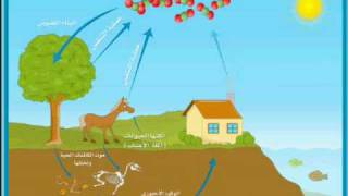 دورة الكربون في الطبيعة [upl. by Acirretal]
