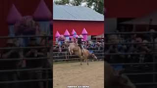 JARIPEO EXTREMO CHIGUAS DE SAN FELIPE BRINDANDO UN BUEN ESPECTÁCULO😱🔥 jaripeo extremo shorts [upl. by Diraf]