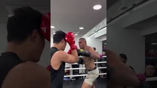 Boxer goes toetotoe with UFC champ Alex Pereira during a South Korea gym session 😳 Boxing MMA [upl. by Nowahs244]