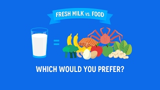 Fresh Milk vs Food  The Nutrition Challenge FreshIsBest [upl. by Roee]