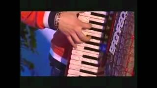 Best Accordion Videos [upl. by Sprung]