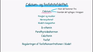 Calcium og fosfatstofskiftet [upl. by Harikahs]