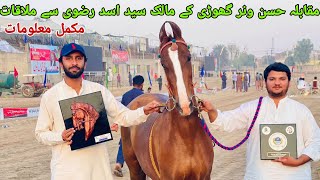 Meet with syed Asad Rizvi sbhorse showMarwari horse in Pakistan [upl. by Carrelli]