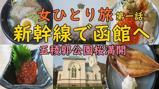 2024新幹線で函館観光へ函館八幡坂函館朝市五稜郭公園五稜郭タワー [upl. by Autry]