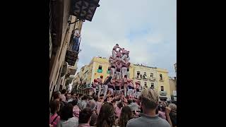 7d8  Diada de Tots Sants 2024 [upl. by Eceinej]